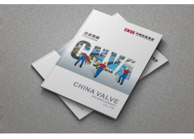 CNVA-中阀控股集团