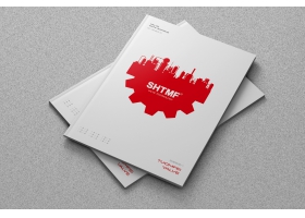 拓姆菲综合样本