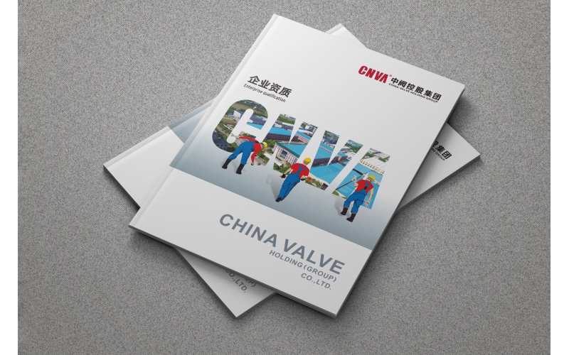 CNVA-中阀控股集团